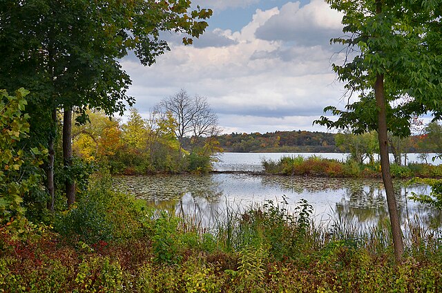 Lake Wingra
